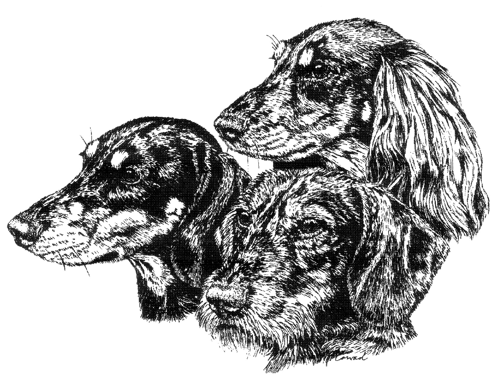 DTK Logo