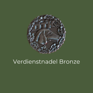 DTK Verdienstnadel Bronze
