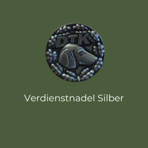 DTK Verdienstnadel Silber